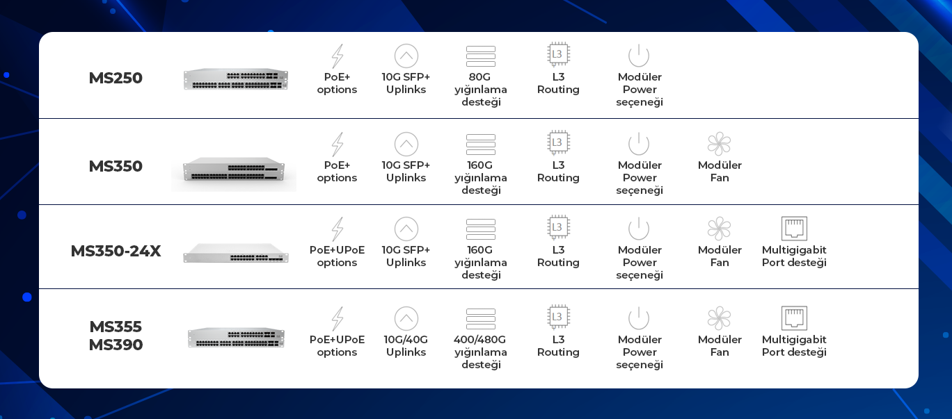 LAYER 3 SWITCH MS250